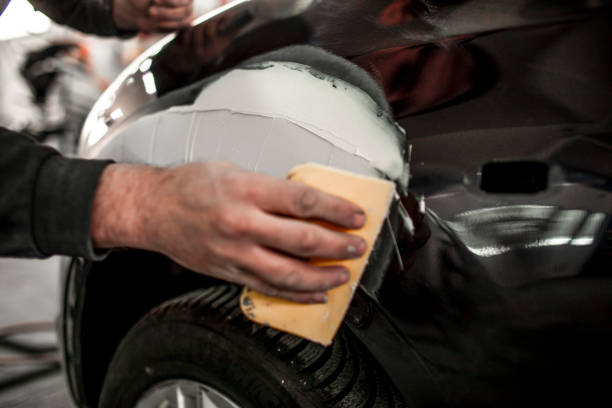 Trusted Geneva, IL Mold Removal Experts