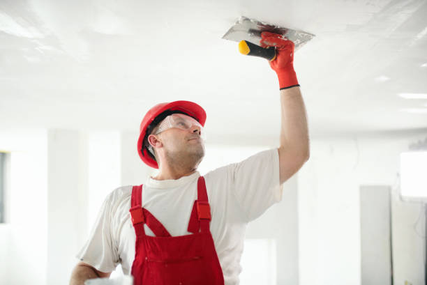 Best Post-Remediation Verification Testing  in Geneva, IL