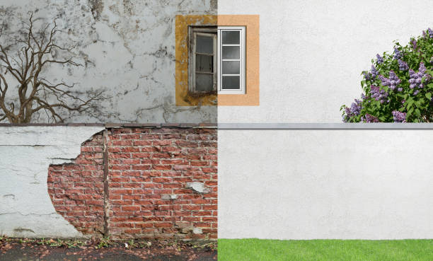 Best Real Estate Mold Inspection  in Geneva, IL