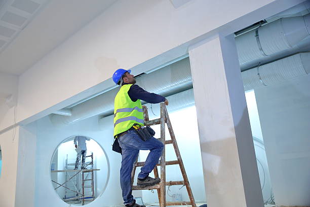 Best Environmental Consulting for Mold Prevention  in Geneva, IL